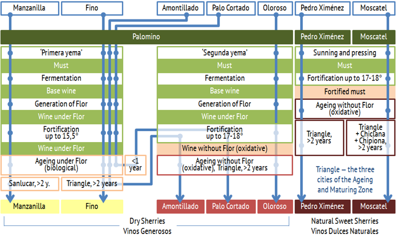 Production stages of non-blended sherries