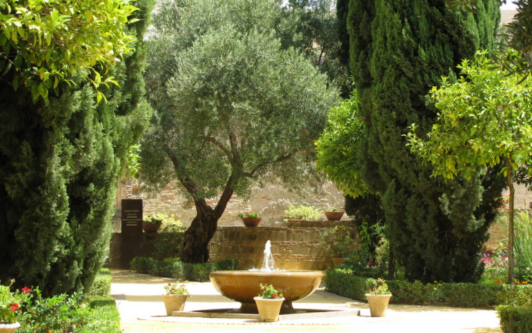  Some greens inside the Alcazar 