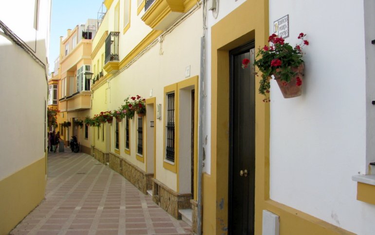  Astreet and flower pots 