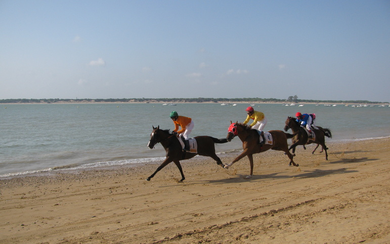  The traditional horse race along the beach